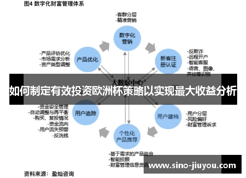 如何制定有效投资欧洲杯策略以实现最大收益分析 如何制定有效投资欧洲杯策略以实现最大收益分析