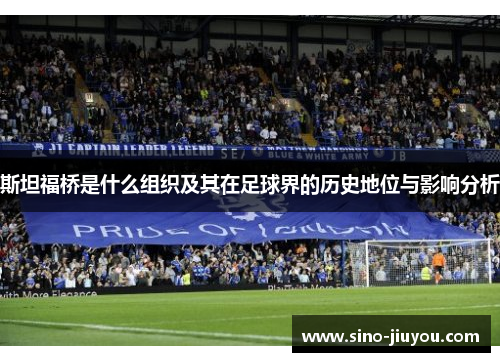 斯坦福桥是什么组织及其在足球界的历史地位与影响分析 斯坦福桥是什么组织及其在足球界的历史地位与影响分析